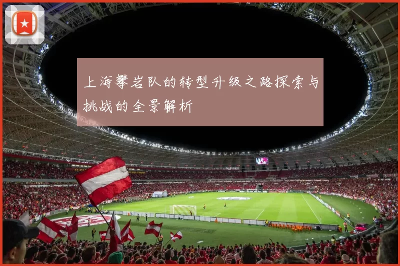 上海攀岩队的转型升级之路探索与挑战的全景解析