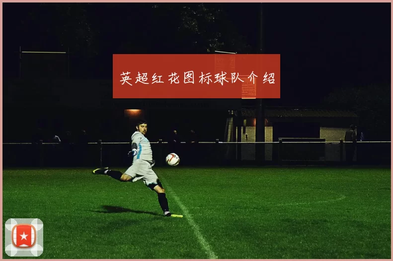 英超红花图标球队介绍