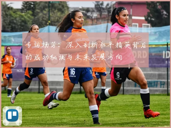 专访杨芳：深入剖析和平精英背后的成功秘诀与未来发展方向