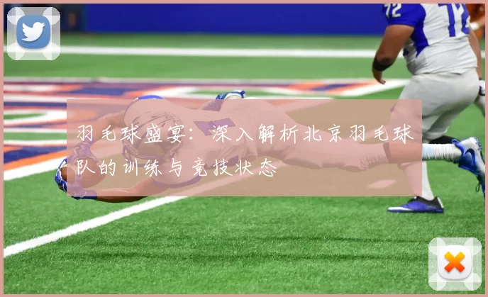 羽毛球盛宴：深入解析北京羽毛球队的训练与竞技状态