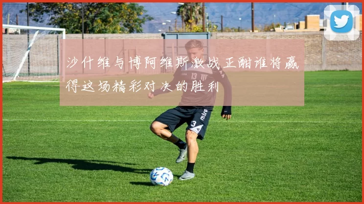 沙什维与博阿维斯激战正酣谁将赢得这场精彩对决的胜利